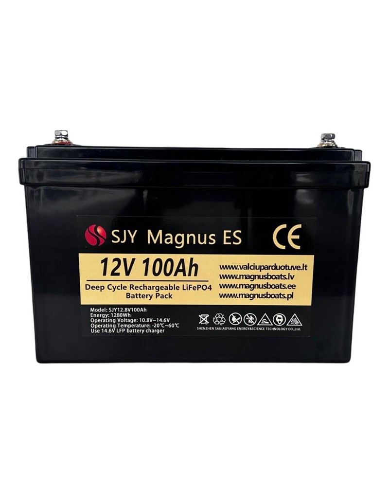 LiFePO4 SJY (12.8V, 100Ah) + зарядное устройство 10A