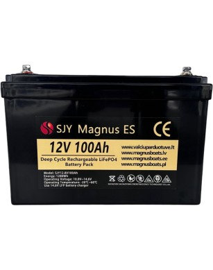 LiFePO4 SJY (12.8V, 100Ah) + зарядное устройство 10A