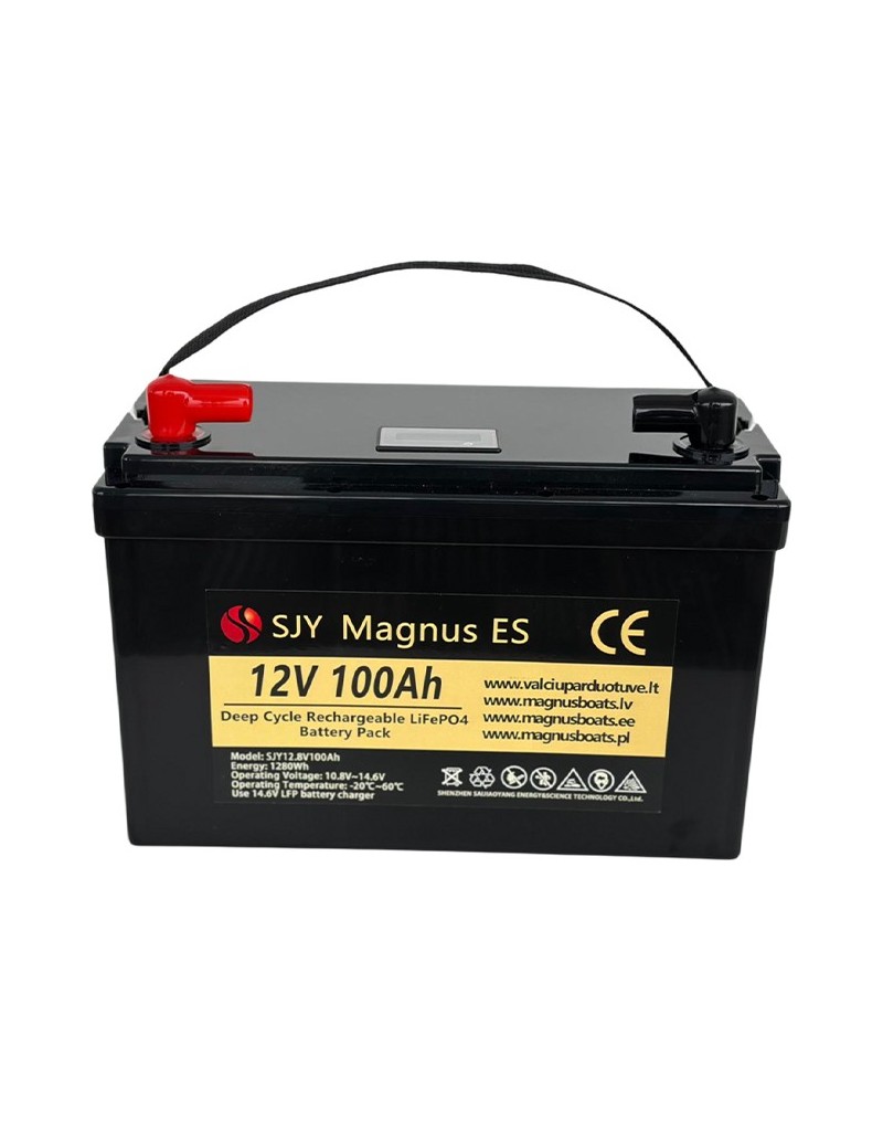 LiFePO4 SJY (12.8V, 100Ah) + зарядное устройство 10A