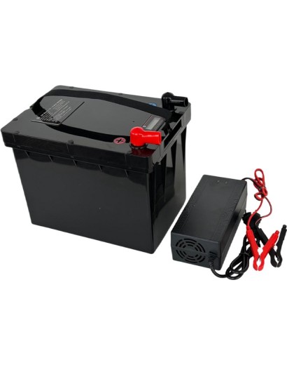 LiFePO4 SJY (25.6V, 65Ah) + charger 10A