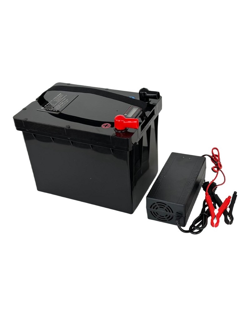 LiFePO4 SJY (25.6V, 65Ah) + charger 10A
