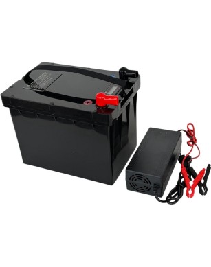 LiFePO4 SJY (25.6V, 65Ah) + charger 10A
