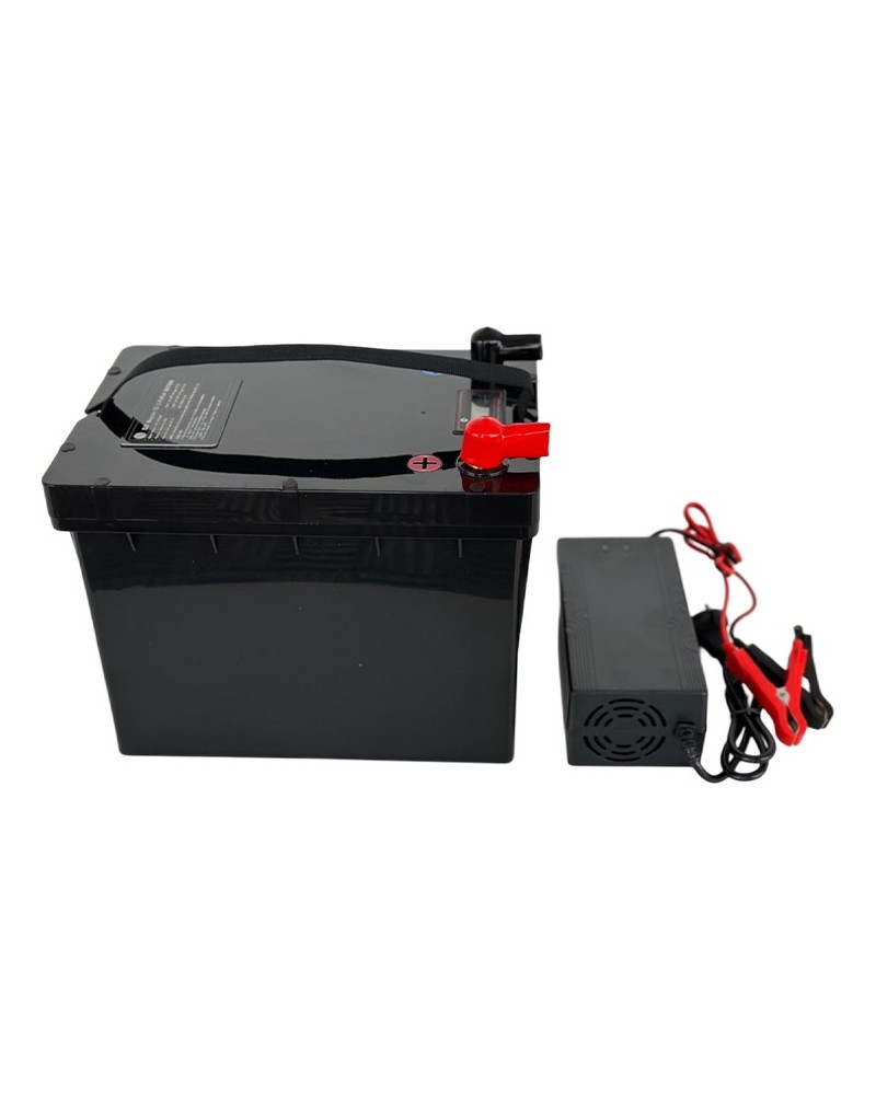 LiFePO4 SJY (25.6V, 65Ah) + Ładowarka 10A