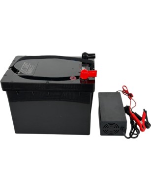 LiFePO4 SJY (25.6V, 65Ah) + charger 10A