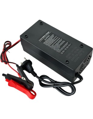 LiFePO4 SJY (25.6V, 100Ah) + charger 10A
