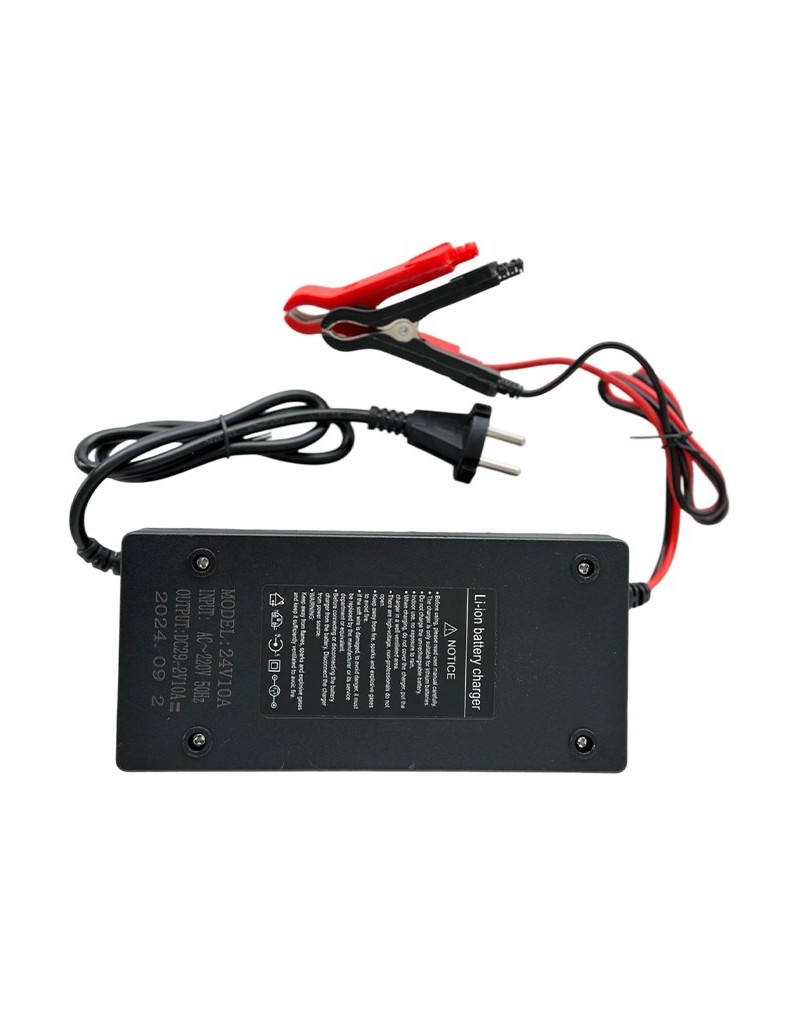 LiFePO4 SJY (25.6V, 100Ah) + зарядное устройство 10A