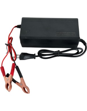 Charger LifePO4 12v 10A