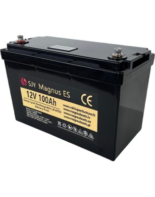 LiFePO4 SJY (12.8V, 100Ah)