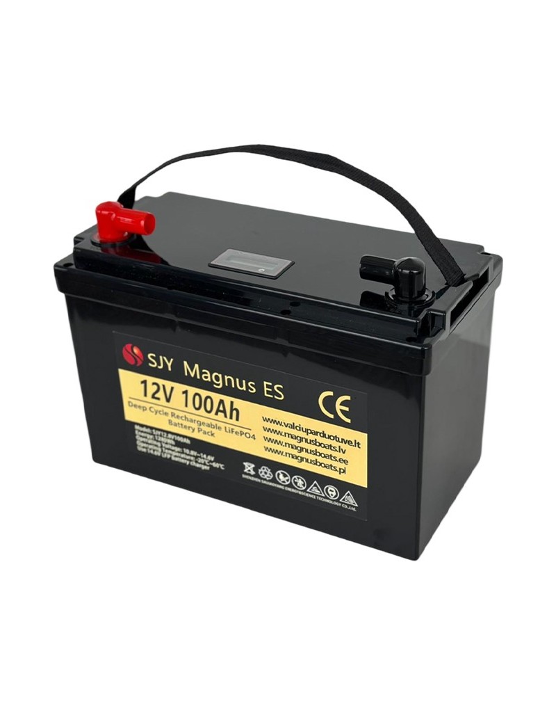 LiFePO4 SJY (12.8V, 100Ah)