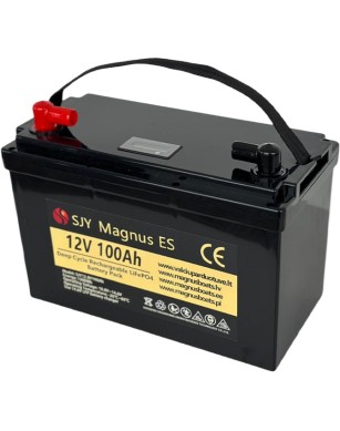 LiFePO4 SJY (12.8V, 100Ah)