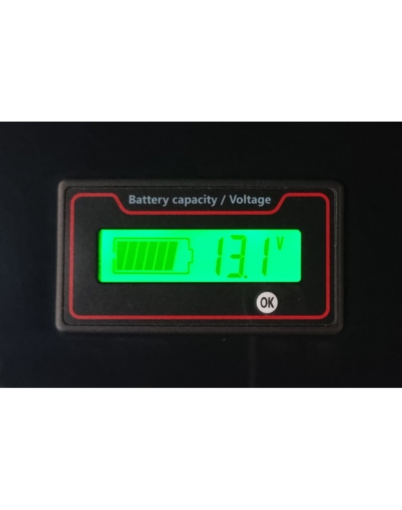 LiFePO4 SJY (12.8V, 100Ah)