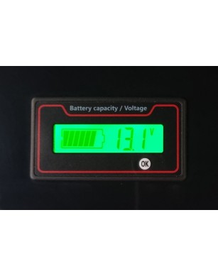 LiFePO4 SJY (12.8V, 100Ah)