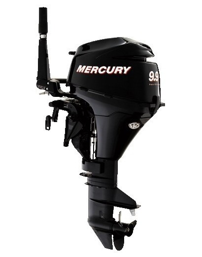 Mercury F9.9 M