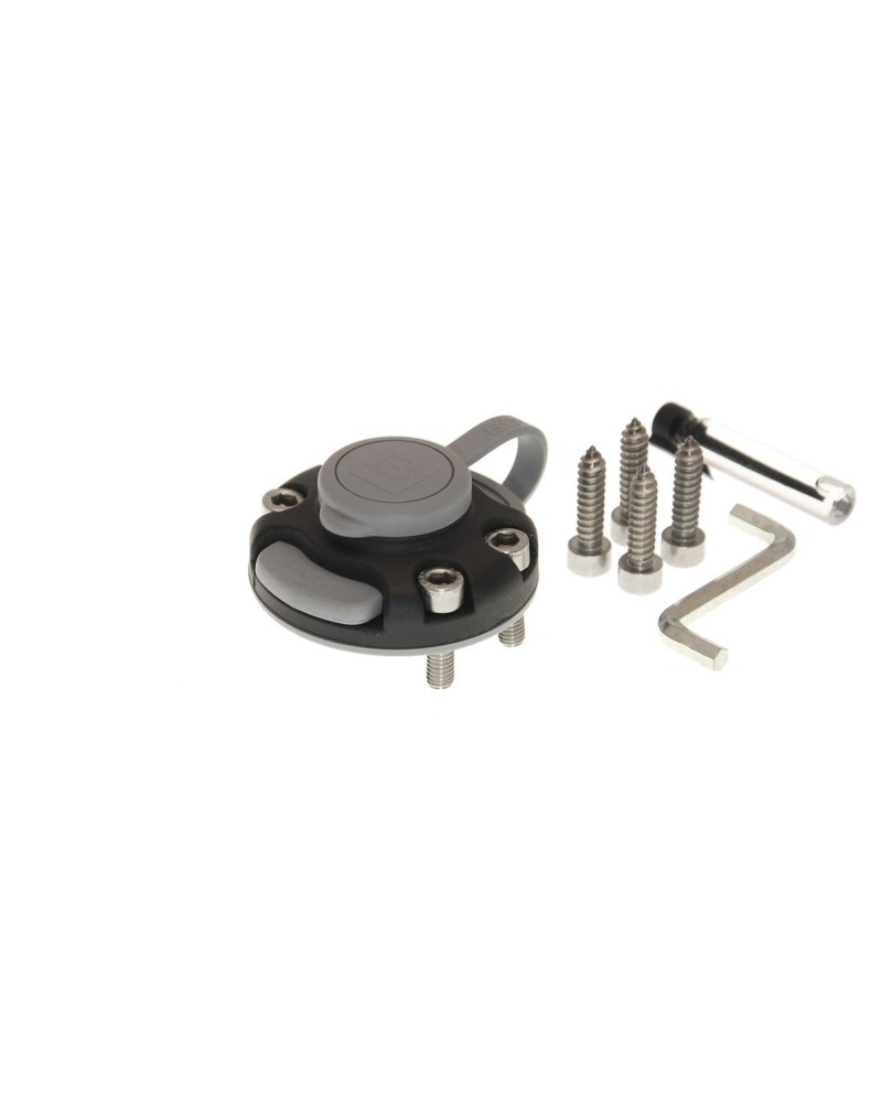 Universal mount