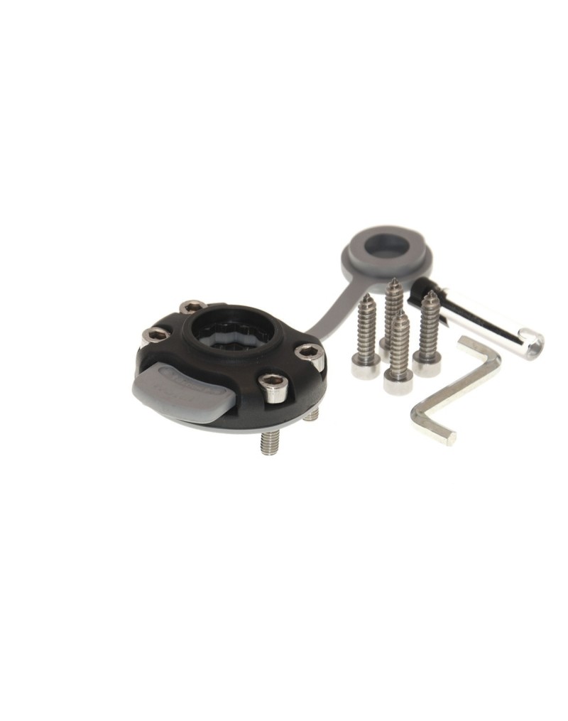 Universal mount