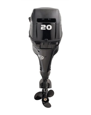 Mercury F15 M