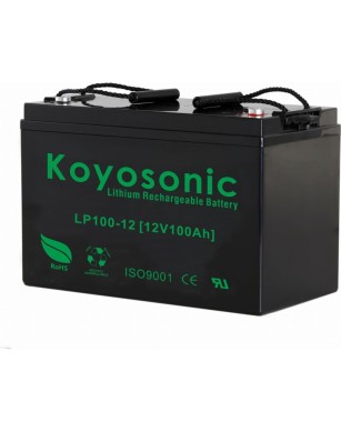 Koyosonic LiFePO4
