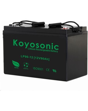 Koyosonic LiFePO4