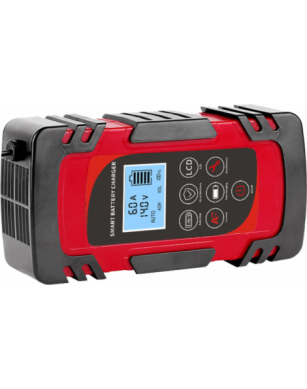 Battery Charger Alburnus DFA-42