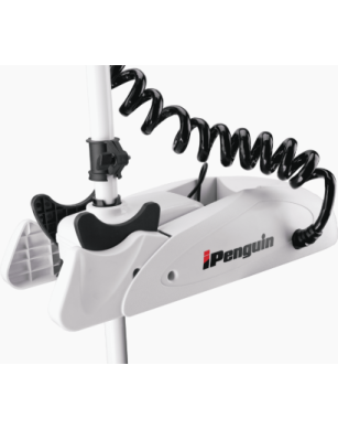 iPENGUIN